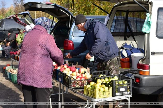 В Кричеве продолжается акция «Добро старшим»